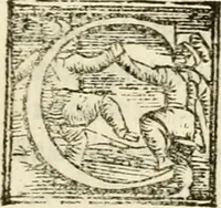 An illustration from Cento givochi liberali, et d'ingegno (1551)