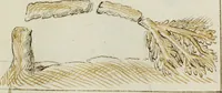 An illustration from Cento imprese (1615)