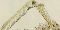 Picture 146 of 183 from Cento imprese (1615), leaf 160