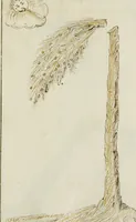 An illustration from Cento imprese (1615)