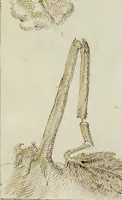 Picture 156 of 183 from Cento imprese (1615), leaf 176