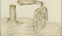 Picture 167 of 183 from Cento imprese (1615), leaf 186