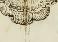 Picture 173 of 183 from Cento imprese (1615), leaf 194
