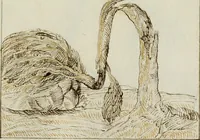 Picture 177 of 183 from Cento imprese (1615), leaf 196