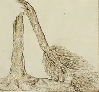 Picture 182 of 183 from Cento imprese (1615), leaf 202