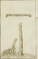 Picture 23 of 183 from Cento imprese (1615), leaf 32