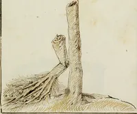 An illustration from Cento imprese (1615)