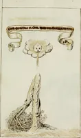 Picture 68 of 183 from Cento imprese (1615), leaf 74