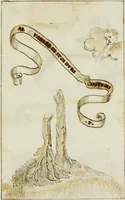 Picture 84 of 183 from Cento imprese (1615), leaf 90