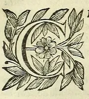 Picture 10 of 36 from Cento novelle amorose de i signori accademici incogniti. Diuise in trè parti (1651), leaf 107