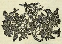 An illustration from Cento novelle amorose de i signori accademici incogniti. Diuise in trè parti (1651)