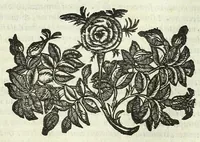 Picture 14 of 36 from Cento novelle amorose de i signori accademici incogniti. Diuise in trè parti (1651), leaf 165