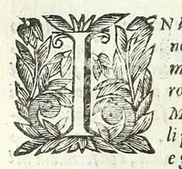 An illustration from Cento novelle amorose de i signori accademici incogniti. Diuise in trè parti (1651)