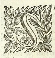 An illustration from Cento novelle amorose de i signori accademici incogniti. Diuise in trè parti (1651)