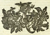 Picture 21 of 36 from Cento novelle amorose de i signori accademici incogniti. Diuise in trè parti (1651), leaf 358