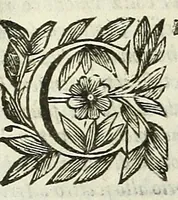 Picture 24 of 36 from Cento novelle amorose de i signori accademici incogniti. Diuise in trè parti (1651), leaf 375