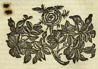 Picture 31 of 36 from Cento novelle amorose de i signori accademici incogniti. Diuise in trè parti (1651), leaf 669