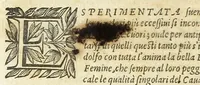 An illustration from Cento novelle amorose de i signori accademici incogniti. Diuise in trè parti (1651)