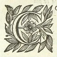 An illustration from Cento novelle amorose de i signori accademici incogniti. Diuise in trè parti (1651)