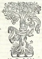 An illustration from Cento sonetti (1554)