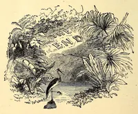 Picture 15 of 15 from Central Africa, Japan and Fiji: a story of missionary enterprise, trials and triumphs (1882), leaf 310