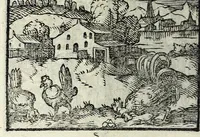 Picture 42 of 61 from Centvm fabvlae ex antiqvis scriptoribus acceptae, et graecis latinisq́; tetrastichis senarijs explicatae (1587), leaf 112