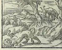 Picture 43 of 61 from Centvm fabvlae ex antiqvis scriptoribus acceptae, et graecis latinisq́; tetrastichis senarijs explicatae (1587), leaf 124