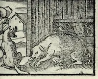 Picture 46 of 61 from Centvm fabvlae ex antiqvis scriptoribus acceptae, et graecis latinisq́; tetrastichis senarijs explicatae (1587), leaf 133