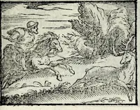 Picture 47 of 61 from Centvm fabvlae ex antiqvis scriptoribus acceptae, et graecis latinisq́; tetrastichis senarijs explicatae (1587), leaf 135
