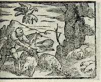 Picture 51 of 61 from Centvm fabvlae ex antiqvis scriptoribus acceptae, et graecis latinisq́; tetrastichis senarijs explicatae (1587), leaf 145