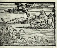 Picture 52 of 61 from Centvm fabvlae ex antiqvis scriptoribus acceptae, et graecis latinisq́; tetrastichis senarijs explicatae (1587), leaf 147