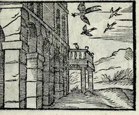 Picture 53 of 61 from Centvm fabvlae ex antiqvis scriptoribus acceptae, et graecis latinisq́; tetrastichis senarijs explicatae (1587), leaf 149