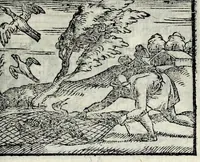 Picture 54 of 61 from Centvm fabvlae ex antiqvis scriptoribus acceptae, et graecis latinisq́; tetrastichis senarijs explicatae (1587), leaf 151