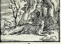Picture 5 of 61 from Centvm fabvlae ex antiqvis scriptoribus acceptae, et graecis latinisq́; tetrastichis senarijs explicatae (1587), leaf 21