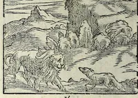 Picture 9 of 61 from Centvm fabvlae ex antiqvis scriptoribus acceptae, et graecis latinisq́; tetrastichis senarijs explicatae (1587), leaf 30