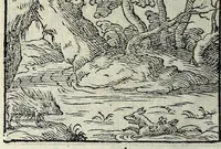 Picture 10 of 61 from Centvm fabvlae ex antiqvis scriptoribus acceptae, et graecis latinisq́; tetrastichis senarijs explicatae (1587), leaf 32