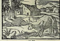 Picture 11 of 61 from Centvm fabvlae ex antiqvis scriptoribus acceptae, et graecis latinisq́; tetrastichis senarijs explicatae (1587), leaf 36