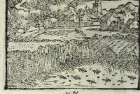 Picture 12 of 61 from Centvm fabvlae ex antiqvis scriptoribus acceptae, et graecis latinisq́; tetrastichis senarijs explicatae (1587), leaf 38