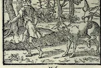 Picture 13 of 61 from Centvm fabvlae ex antiqvis scriptoribus acceptae, et graecis latinisq́; tetrastichis senarijs explicatae (1587), leaf 40