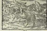 Picture 14 of 61 from Centvm fabvlae ex antiqvis scriptoribus acceptae, et graecis latinisq́; tetrastichis senarijs explicatae (1587), leaf 42