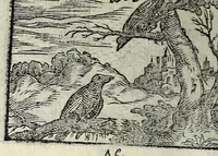 An illustration from Centvm fabvlae ex antiqvis scriptoribus acceptae, et graecis latinisq́; tetrastichis senarijs explicatae (1587)