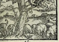 An illustration from Centvm fabvlae ex antiqvis scriptoribus acceptae, et graecis latinisq́; tetrastichis senarijs explicatae (1587)