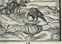 Picture 18 of 61 from Centvm fabvlae ex antiqvis scriptoribus acceptae, et graecis latinisq́; tetrastichis senarijs explicatae (1587), leaf 53