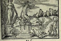 Picture 20 of 61 from Centvm fabvlae ex antiqvis scriptoribus acceptae, et graecis latinisq́; tetrastichis senarijs explicatae (1587), leaf 57