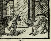 Picture 28 of 61 from Centvm fabvlae ex antiqvis scriptoribus acceptae, et graecis latinisq́; tetrastichis senarijs explicatae (1587), leaf 75