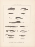 An illustration from Ceramic art in remote ages : with essays on the symbols of the circle, the cross and circle, the circle and ray ornament, the fylfot, and the serpent, showing their relation to the primitive forms of solar and nature worship (1874)