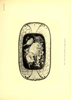 Picture 9 of 17 from The ceramics of Swansea and Nantgarw: a history of the factories. With biographical notices of the artists and others, notes on the merits of the porcelains, the marks thereon, etc (1897), leaf 259