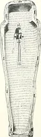 Picture 63 of 68 from Cercueils anthropoïdes des prêtres de Montou (1913), leaf 244