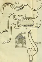 An illustration from Cerebri anatome : cui accessit nervorum descriptio et usus (1666)