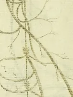 An illustration from Cerebri anatome : cui accessit nervorum descriptio et usus (1666)